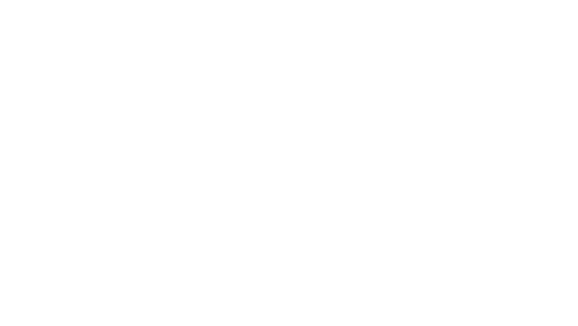 Knight
